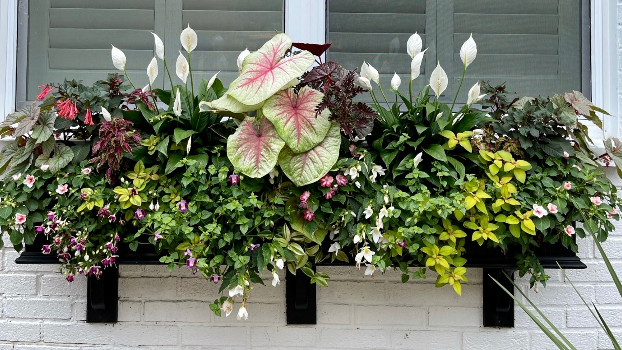 Summer Garden Maintenance Tips