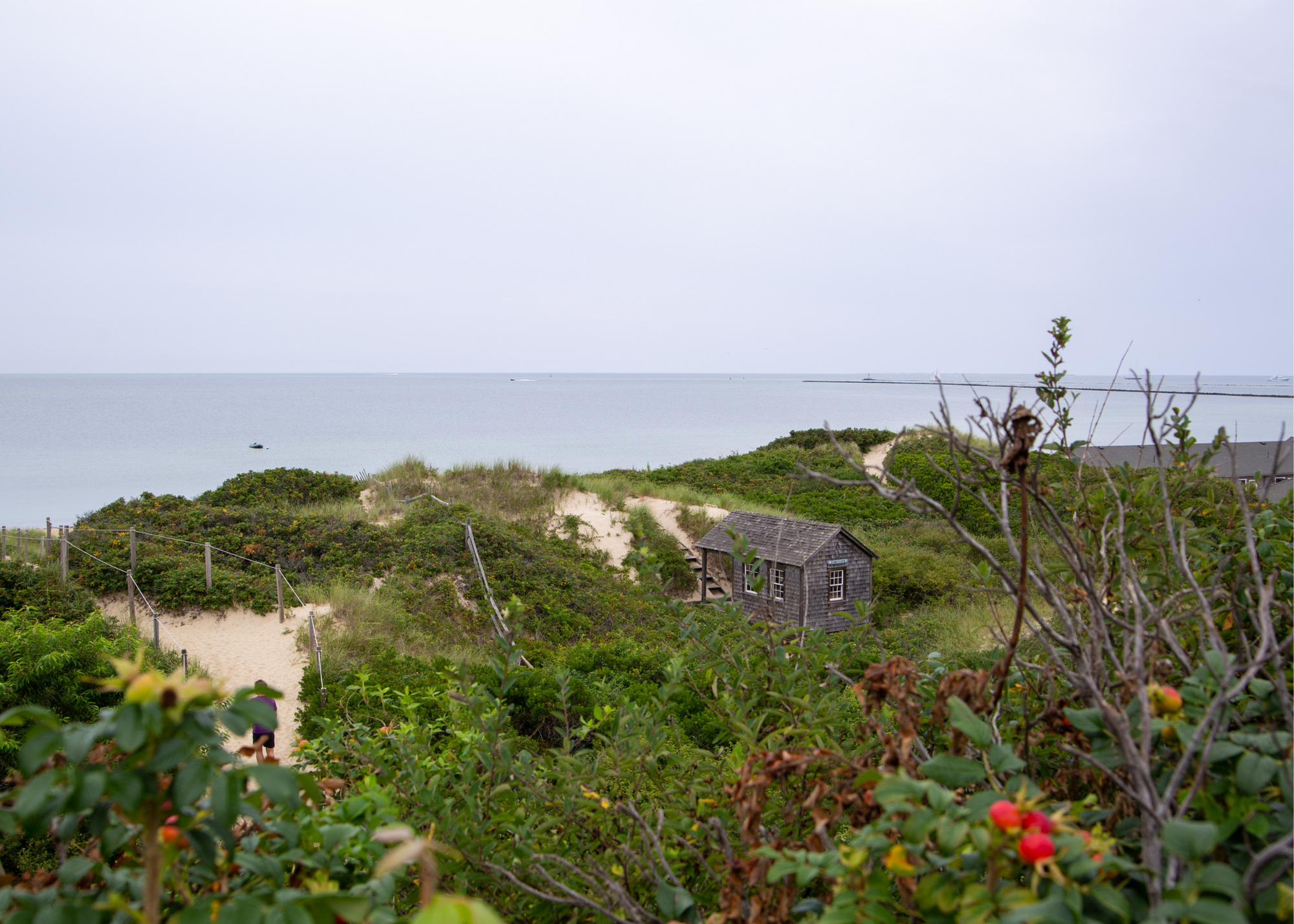 Printfresh Travel Guide: Nantucket