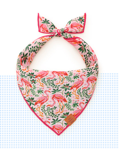PF x The Foggy Dog Flock of Flamingos - Wildest Dreams Set & Dog Bandana Bundle - Rose - Printfresh