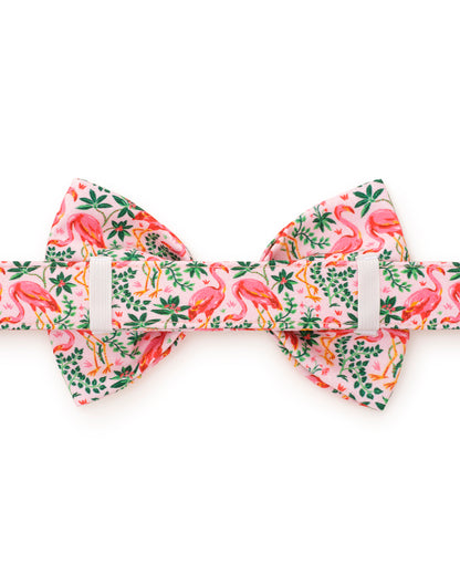 PF x The Foggy Dog Flock of Flamingos - Dog Bow Tie - Rose - Printfresh